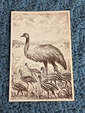 Emu Family Natures Wonders and Scenic Beauties Australia S Volirik Postcard